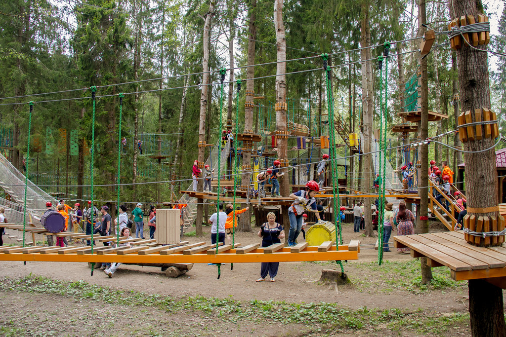 Лето в Подмосковье 2026